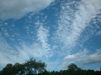 a0027277_1372185.jpg