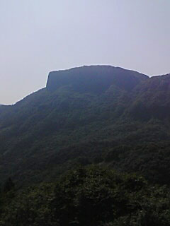 c0067206_14551589.jpg