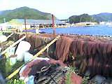 c0067206_15515786.jpg