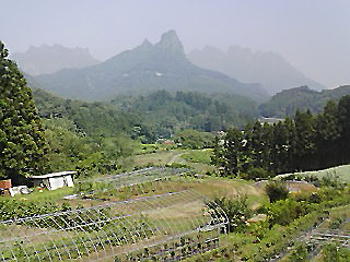 c0067206_1564053.jpg