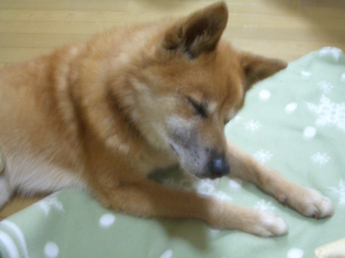 f0148410_4132937.jpg