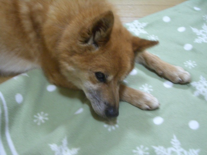 f0148410_41392.jpg