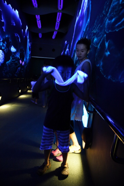 c0089419_0345238.jpg