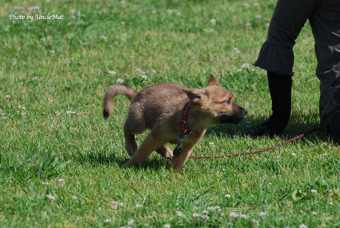 じわじわ、大きく成って来ました_e0028625_10533224.jpg