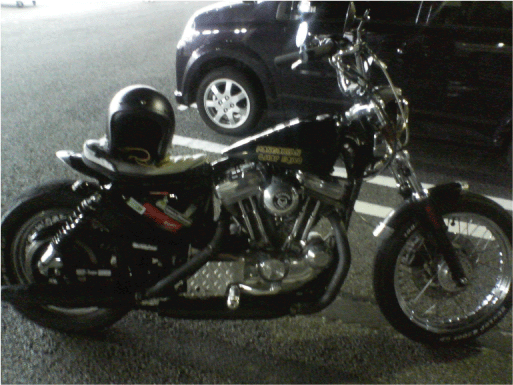 c0006028_11242370.gif