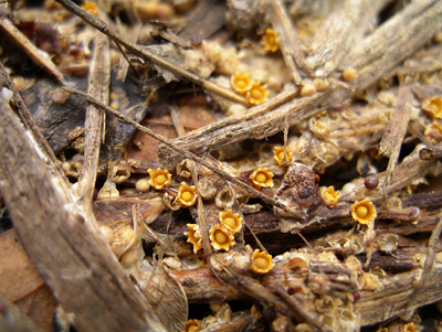 f0108133_01879.jpg