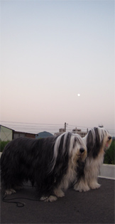 e0114637_21264525.jpg