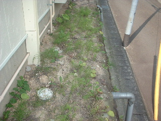 あれこれ_f0031037_1331643.jpg