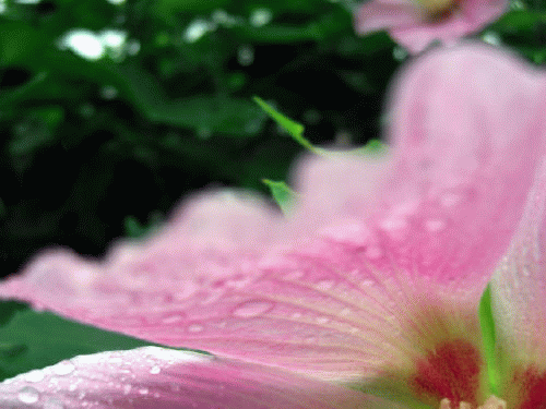 f0031546_9483191.gif