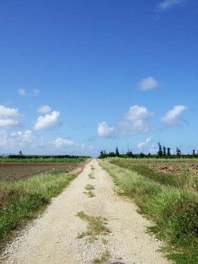 波照間島滞在2日目(6月29日)_c0084257_12163771.jpg