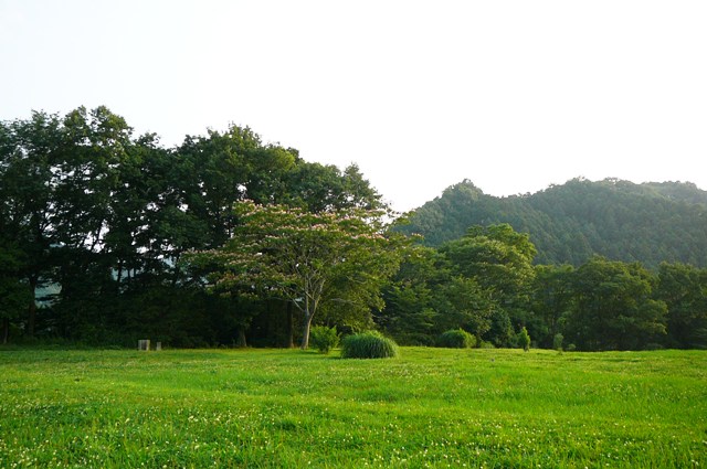 d0042474_1151358.jpg