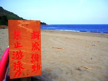 e0023100_13533.jpg