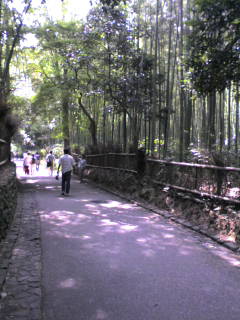 京都へ_e0126903_172467.jpg