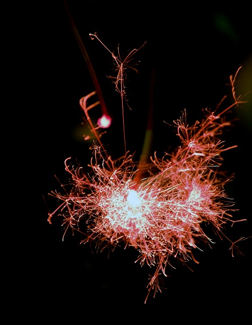 c0071611_7583520.jpg