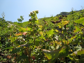 e0002820_17214674.jpg