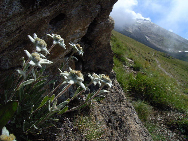 d0054625_164598.jpg