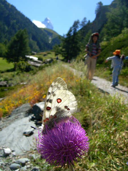 d0054625_16581396.jpg