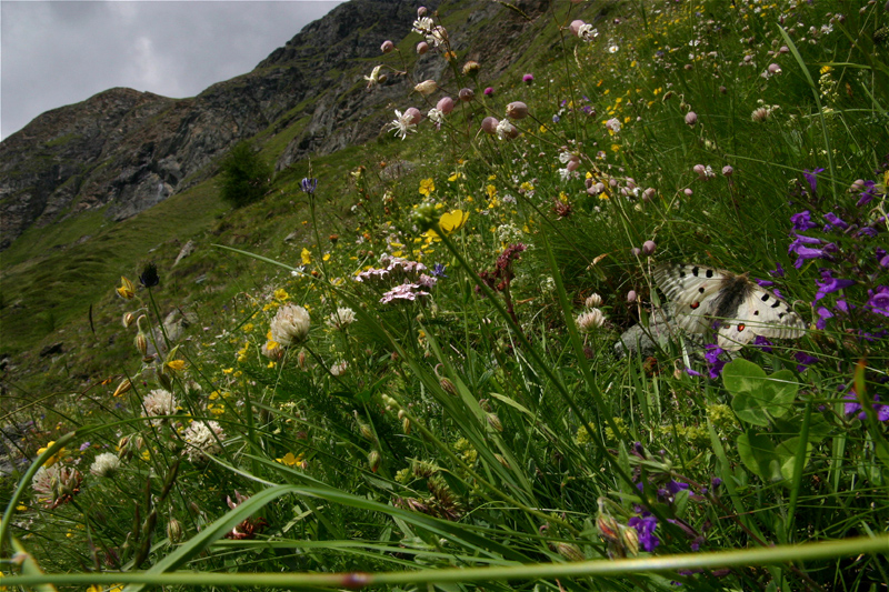 d0054625_17184418.jpg