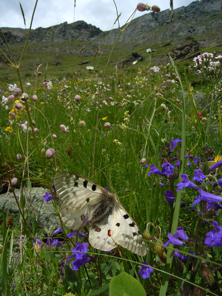 d0054625_1719417.jpg