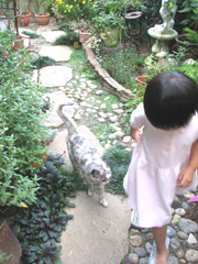b0080027_121317.jpg