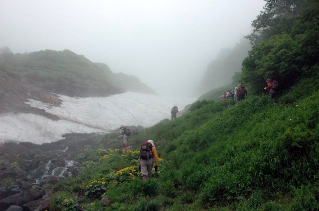 コマクサの山　平山_f0041230_21552079.jpg