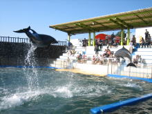 c0113733_23562510.jpg