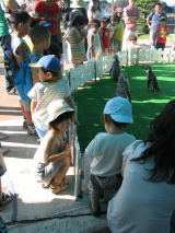 c0113733_23564315.jpg