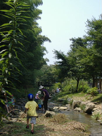 子育てサークル7月の会_f0082141_23125773.jpg