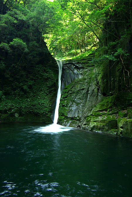 d0069495_21394976.jpg