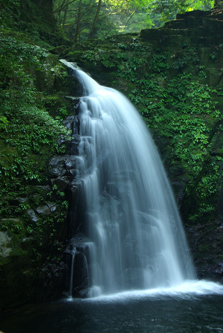 d0069495_6411036.jpg