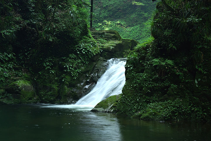 d0069495_6505077.jpg