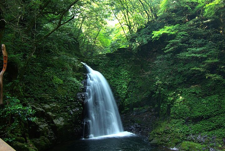 d0069495_6582624.jpg