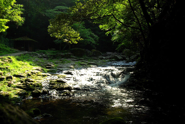 d0069495_7163491.jpg