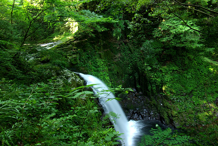 d0069495_783621.jpg