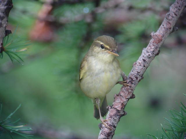 c0079001_2034418.jpg