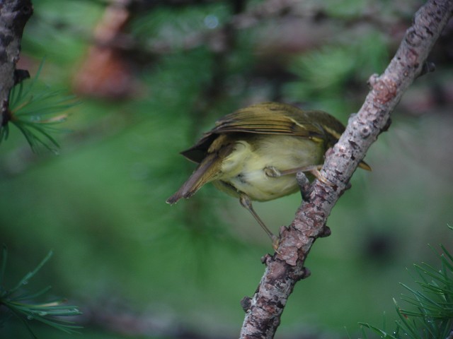 c0079001_204977.jpg