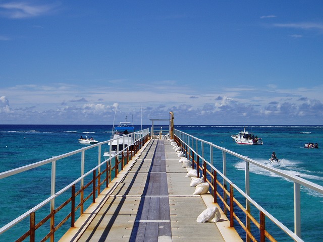 f0147602_1073873.jpg