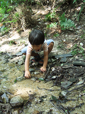 子どもと過ごす夏の1日~瓜生山・雨の日文庫・ゆるゆるトークかふぇ_c0069903_1234686.jpg