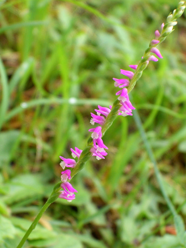 d0085715_01151.jpg