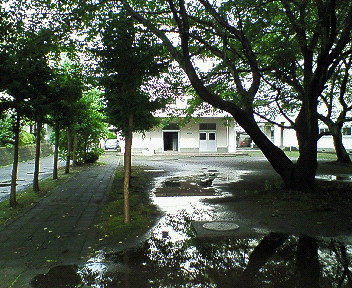 d0065116_20224766.jpg