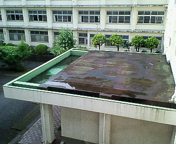 d0065116_2057713.jpg