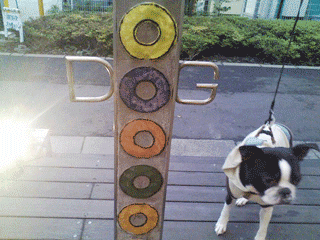 e0080117_22124438.gif