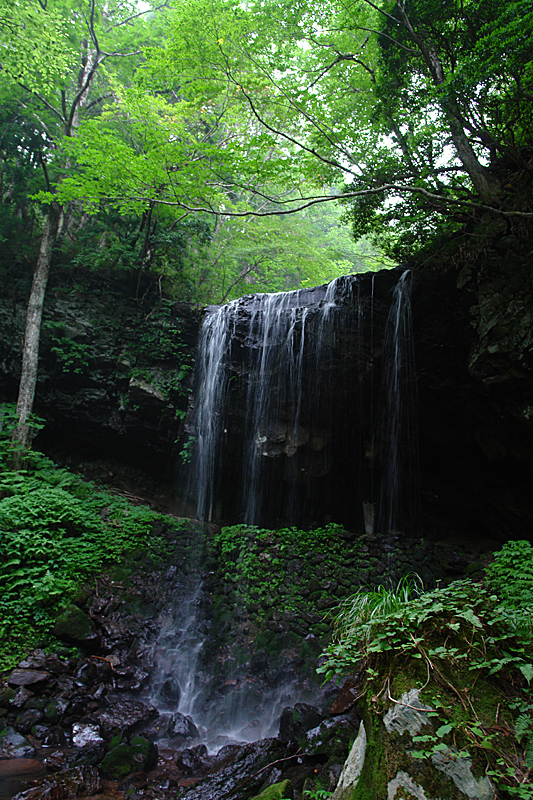 c0062418_222466.jpg