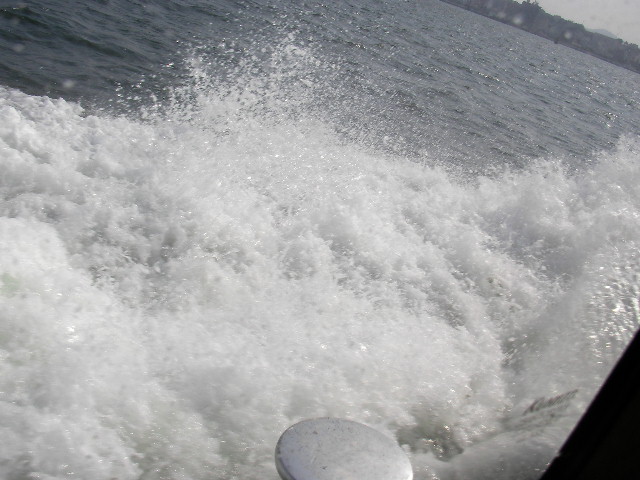 Monkey Island_f0113727_5133142.jpg