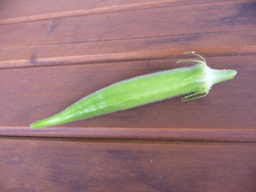 f0013029_17205667.jpg