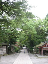 c0113733_21411648.jpg