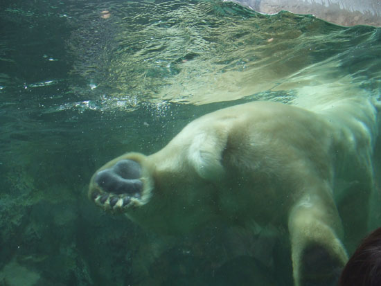 c0124737_1295435.jpg