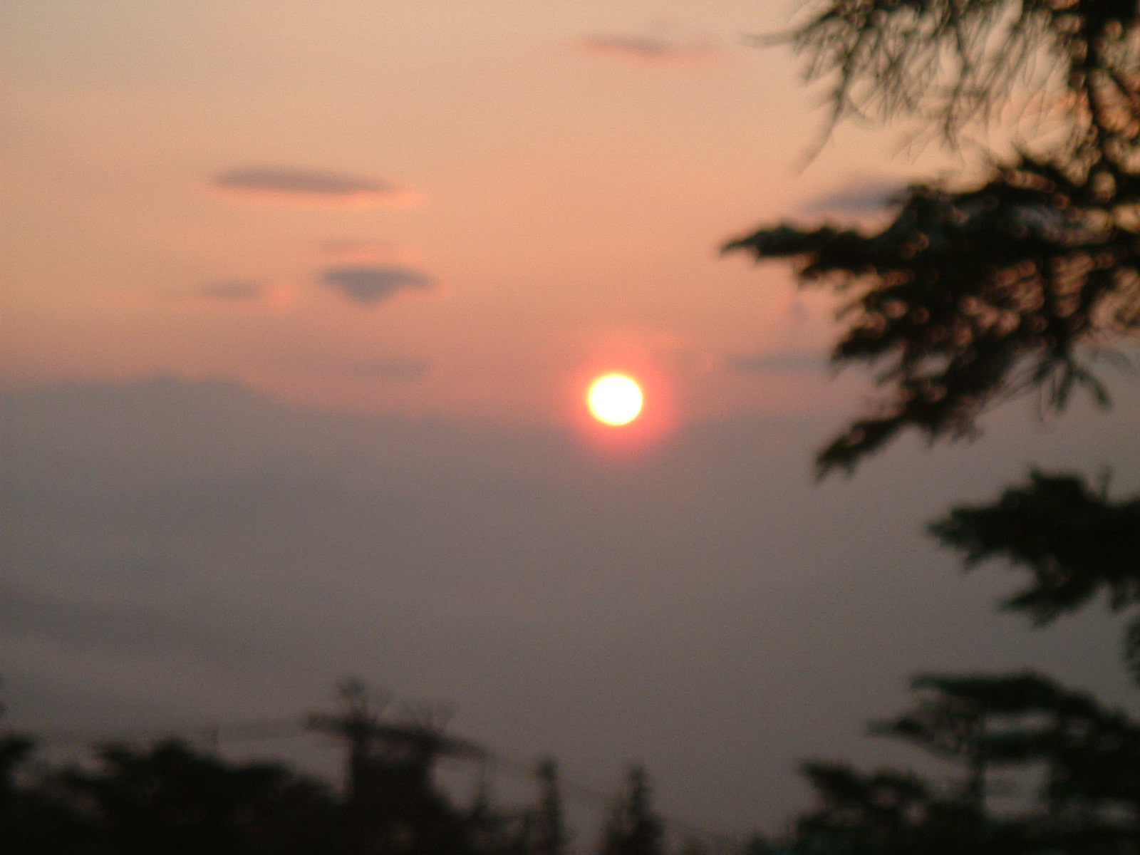 f0012637_15525749.jpg