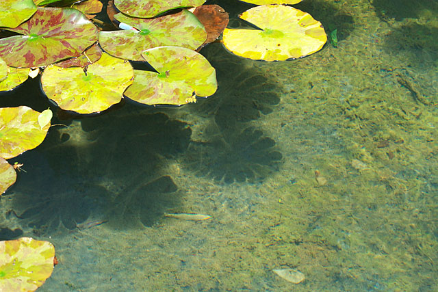 c0067040_23221599.jpg