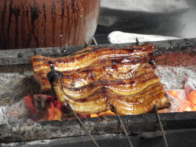 うなぎの蒲焼き_d0121540_2329892.jpg